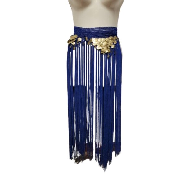 Hip Skirt Belly Dance Tassels Fringe Skirt Bellydance Coins and Fringe Hip Scarf - Picture 11 of 13